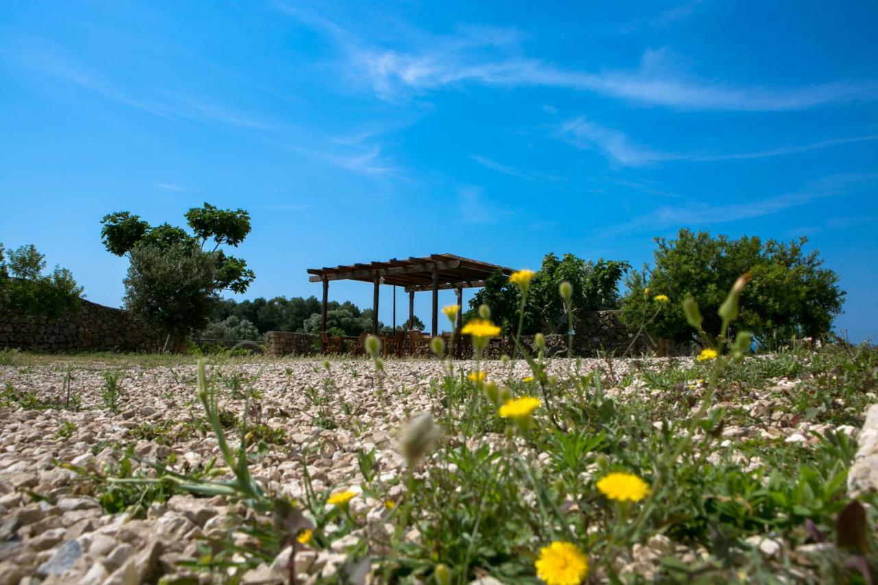 Antica Masseria Ficazzana - Tenuta Марина ди Песколусе Екстериор снимка