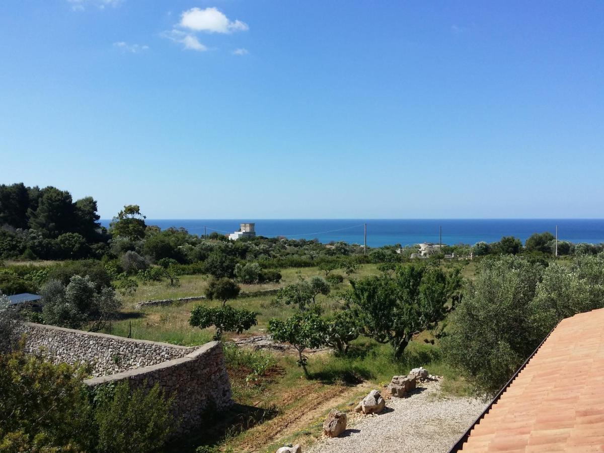 Antica Masseria Ficazzana - Tenuta Марина ди Песколусе Екстериор снимка